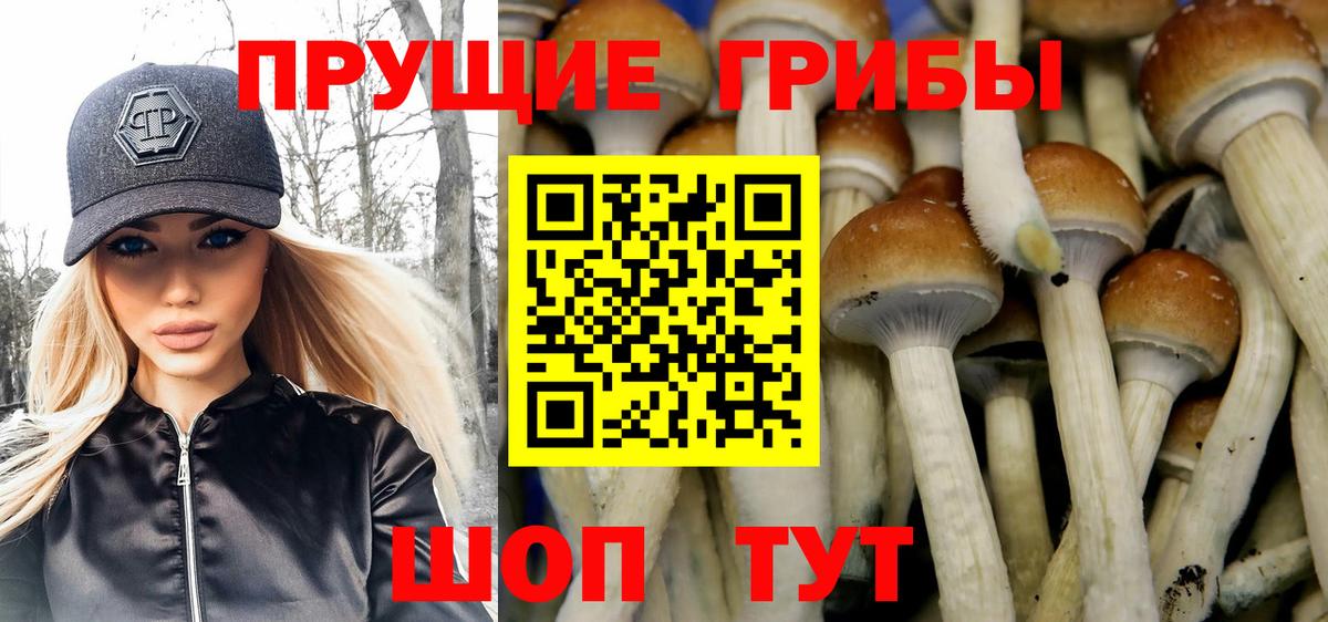 Усолье-Сибирское  Псилоцибиновые грибы мицелий  Вход с VPN 