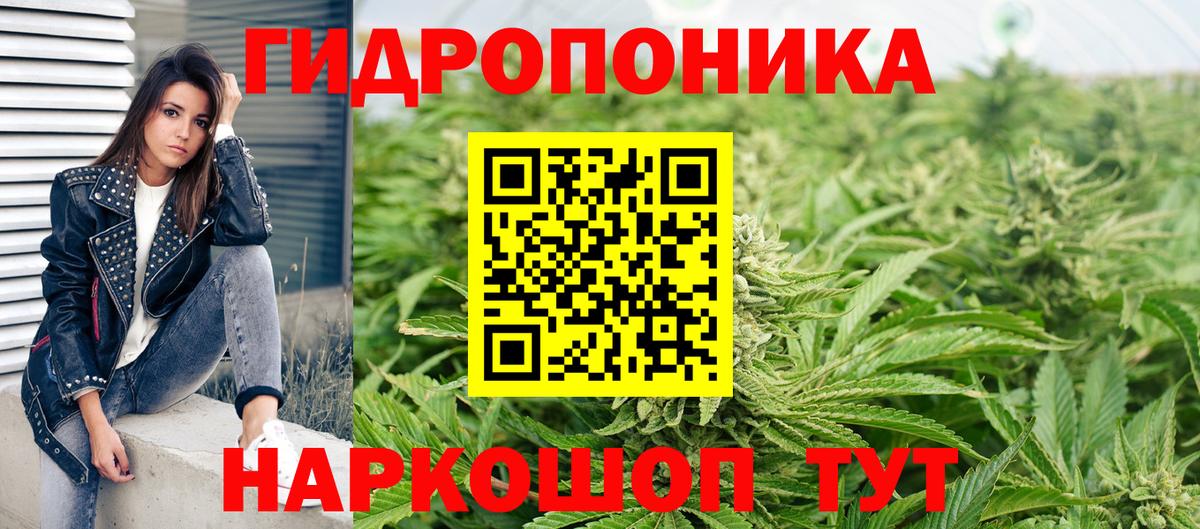 Шишки марихуана сатива Усолье-Сибирское